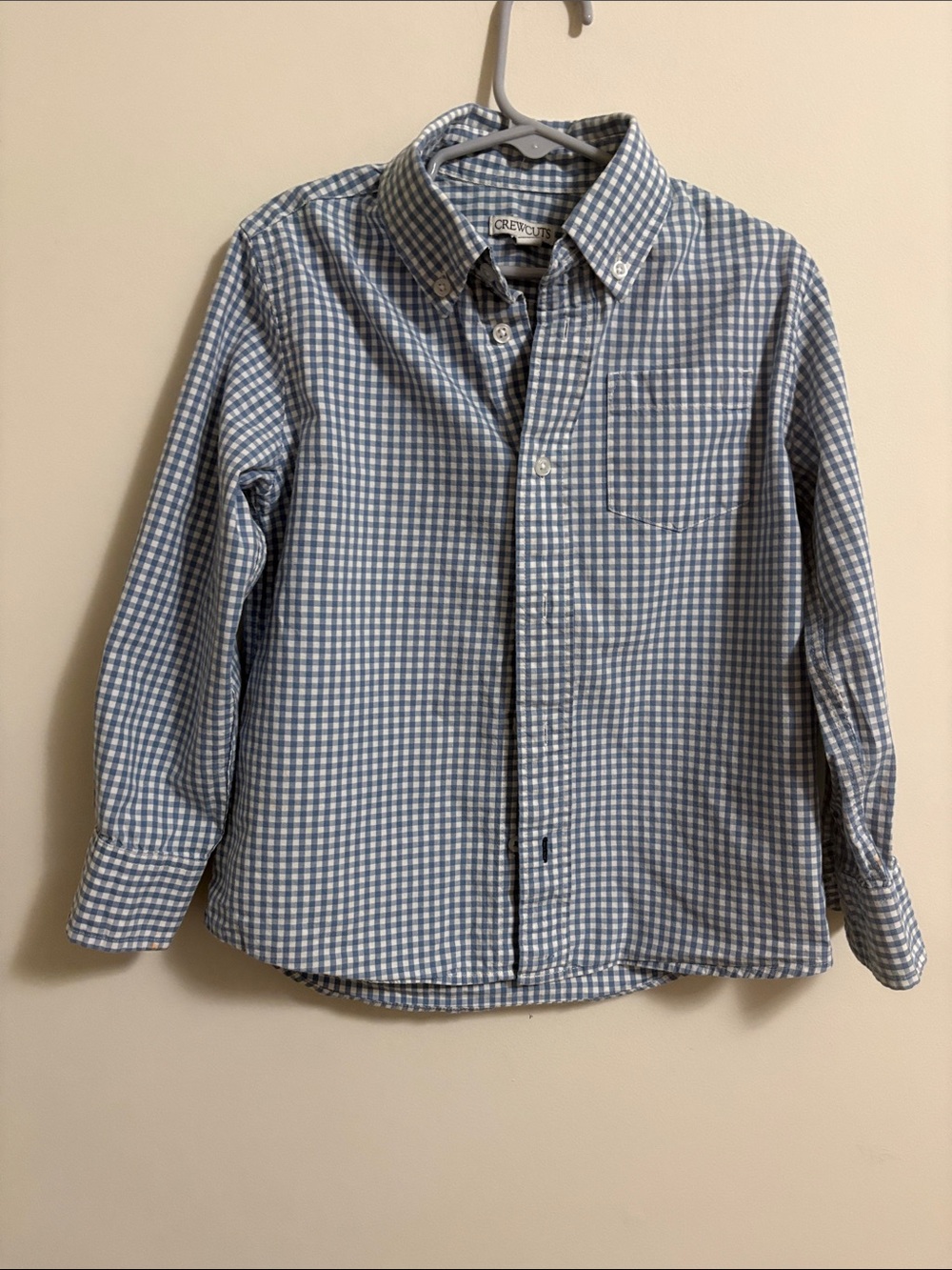 J. Crew Blue and White Gingham Button-Down Shirt